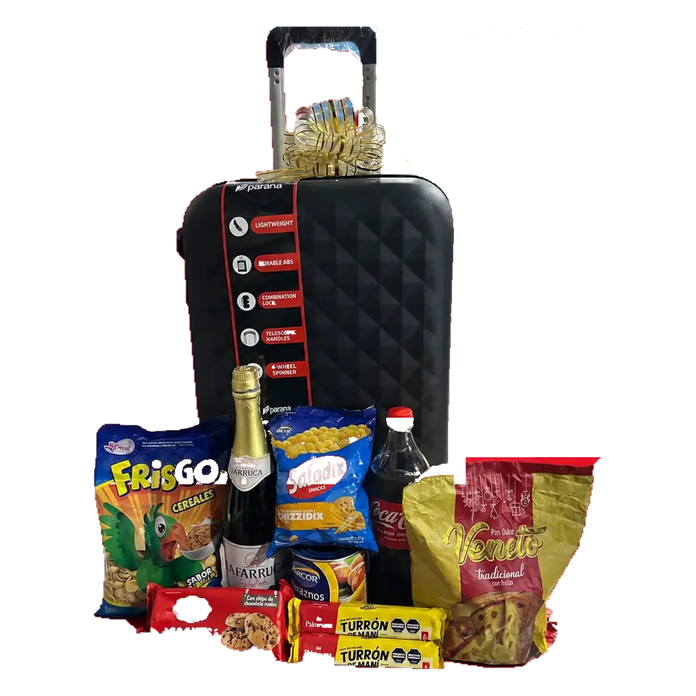 Canasta de Maleta 4